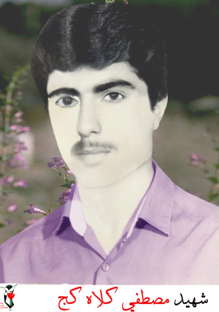 فاقد تصویر